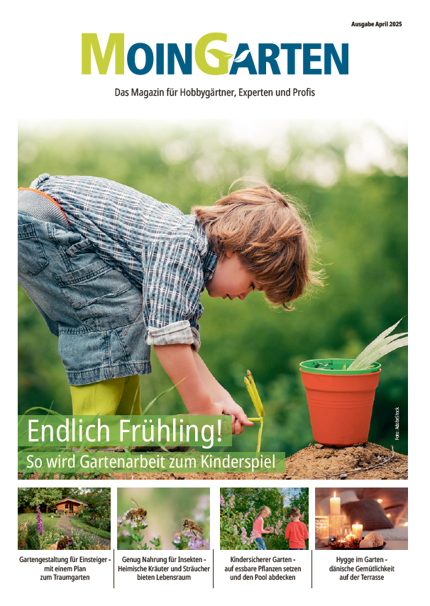 Vorschau des Moin Garten PDFs