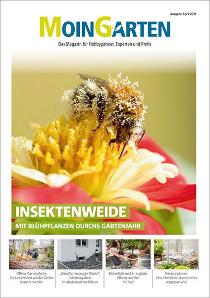 Vorschau des Moin Garten PDFs