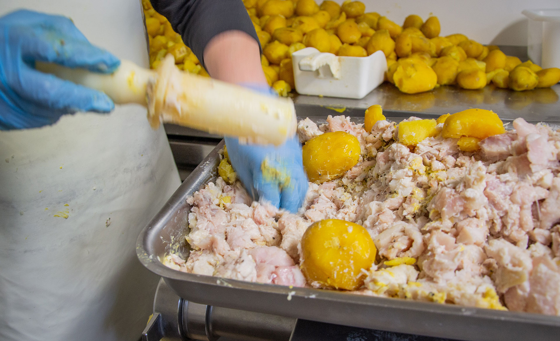 Zwei Hände in blauen Handschuhen bereiten Essen zu.