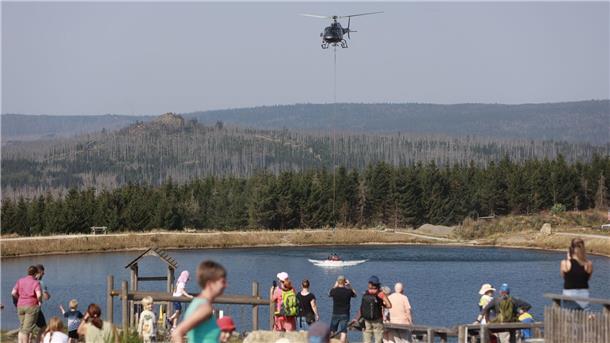 Feuer am Brocken - Einsatz könnte noch Tage dauern Bis zur Dunkelheit soll weiter gelöscht werden - vorerst.