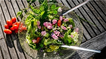  „Genussvoll und gesund Klima und Artenvielfalt schützen“: Im ersten Vortrag der neuen Reihe geht es um essbare Wildpflanzen.