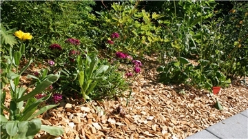  Im Garten sollte kein Boden zu sehen sein, zum Mulchen eignen sich viele verschiedene Materialien.