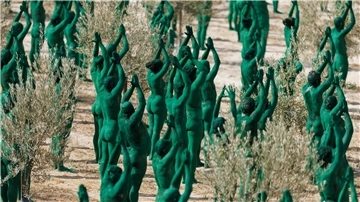  Kunstinstallation im Olivenhain
