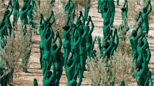 Kunstinstallation im Olivenhain