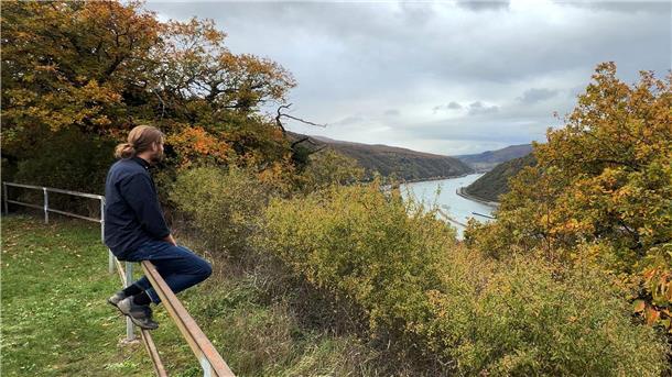 Platzmangel in Männerschutzhäusern – Bedarf steigt deutlich  Laut dem Lagebild zur häuslichen Gewalt des Bundeskriminalamts (BKA) waren vergangenes Jahr rund 70 Prozent der Betroffenen weiblich und gut 30 Prozent männlich.