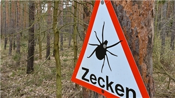 Ein Warnschild vor Zecken hängt an einem Baum in einem Wald.