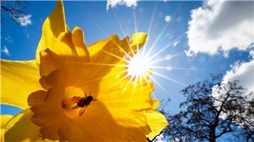  Sonne satt und Temperaturen bis 17 Grad sind bis zum Wochenende angesagt.