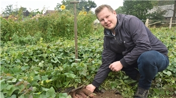 Das Bild zeigt Ingo Klindworth im Süßkartoffelfeld. 