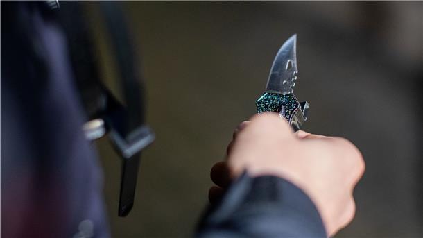 2019 registrierte die Polizei in Niedersachsen 1585 Straftaten im Zusammenhang mit Clankriminalität.