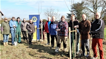 24 Obstbäume und 100 Heckenrosenbüsche pflanzten die Mitglieder des Lions Clubs Wesermünde zusammen mit freiwilligen Helfern in Bokel-Kransmoor.