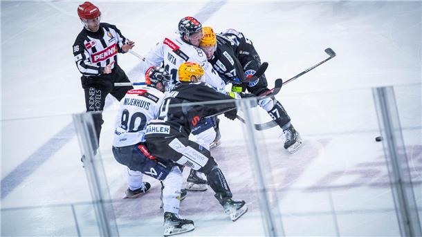 Fischtown Pinguins