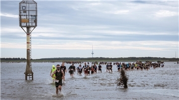 Wattlauf