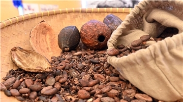 70 Prozent des weltweiten Kakaos kommt aus Westafrika. Doch unter welchen Umständen wird es produziert? Das EU-Lieferkettengesetz soll das nun kontrollieren.
