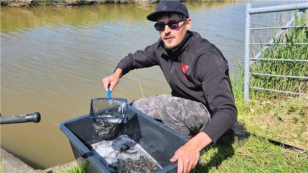 Butjadinger Fischereiverein verteilt 79,4 Kilogramm Aal in Fließgewässer 79,4 Kilogramm wurden durch den Butjadinger Fischereiverein in die Fließgewässer verteilt. Das Projekt soll zur Arterhaltung beitragen.