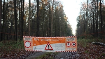 Absperrung eines Waldweges wegen Holzernte