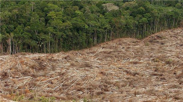 Flüsse tragen weit mehr Quecksilber in Ozeane als 1850 Abholzung des Regenwalds im Amazonasgebiet in Brasilien.