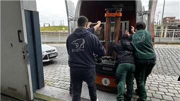 Die Transportbox mit dem Zootier wird in den Transporter verladen: Der Zoo am Meer Bremerhaven nimmt Abschied von Schimpansin Donna.