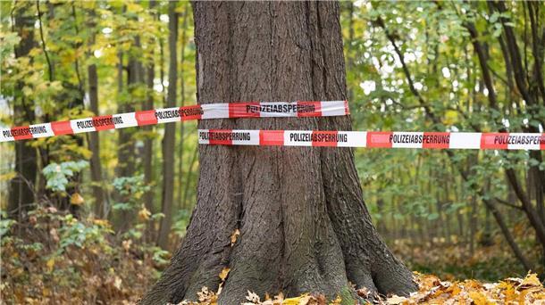 Frau lügt und löst damit Großeinsatz in Dresden aus Absperrband der Polizei: Rund 180 Beamte der Bereitschaftspolizei durchkämmten den Wald.