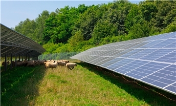 Agri-PV - also Solarmodule, die auf Stelzen gestellt werden, damit darunter beispielsweise Schafe weiden können - ist eine Idee, die die Interessengemeinschaft Ahlen-Falkenberg auf ihren Flächen im Ahlenmoor eventuell umsetzen will.