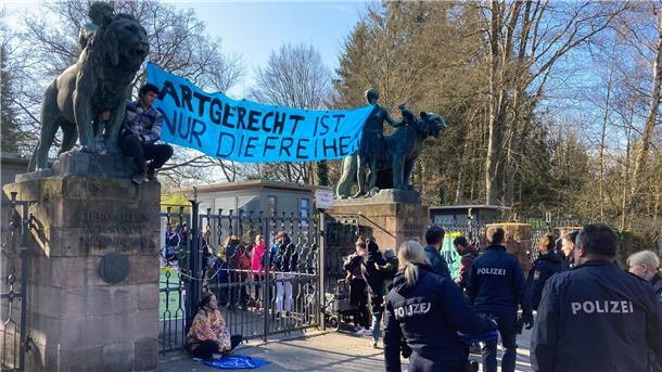 Aktivisten demonstrieren am Nürnberger Zoo gegen die geplante Tötung von Pavianen.