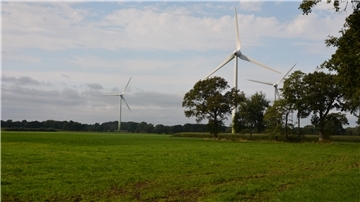 Windräder zwischen Bäumen und Grünland.