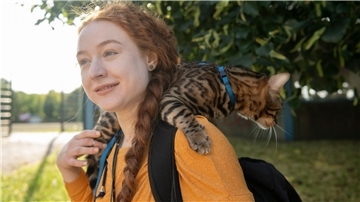 Aktuell werden immer mehr Katzen an der Leine durch Großstadtstraßen geführt. (Archivbild)