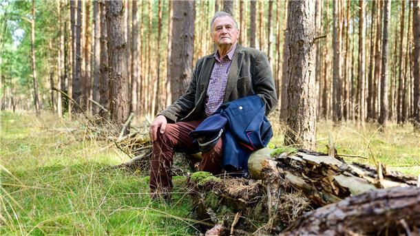 Viel gelernt aus Waldbrandkatastrophe in Lüneburger Heide Albert Wolter sitzt in einem Kiefernwald unweit von Gorleben.