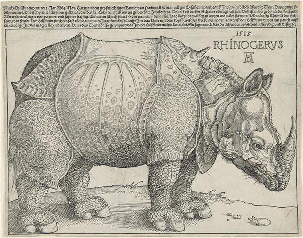 Albrecht Dürer fertigte seinen Holzschnitt „Rhinocerus“ (1515) nach dem Bericht eines Augenzeugen an. Doch der hatte wohl nicht so genau hingeschaut. Denn Nashörner haben kein Horn auf der Schulter und auch keinen Panzer.