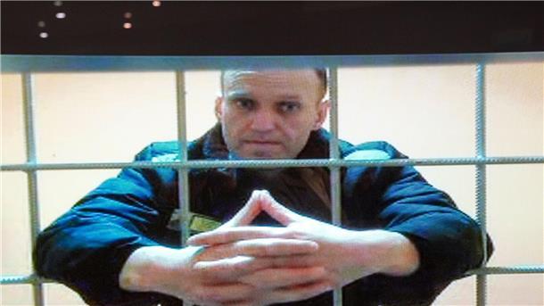 Alexej Nawalny wird meist per Videoverbindung aus seiner Gefängniskolonie zu Anhörungen zugeschaltet.