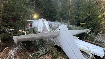 Alle vier Insassen kommen beim Absturz eines Sportflugzeuges in Österreich ums Leben.