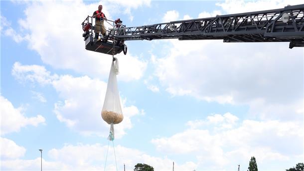 Alles bereit fürs Entenrennen: Oben Drehleiter mit Enten im Sack, unten Feuerwehrboot mit Ventilator, DLRG im Wasser.
