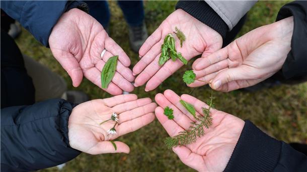 Klosterwald statt Supermarkt - Events in der Natur gefragt „Alles, was wir brauchen, wächst um uns herum“, sagt die Kursleiterin.