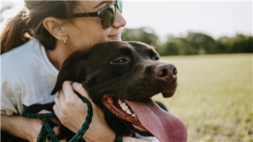Alles wird teuer - auch der Tierarzt: Werden nun Besitzer von Hunden und Katzen den Besuch aus Kostengründen vermeiden? Das hätte laut Experten schlimme Folgen. 