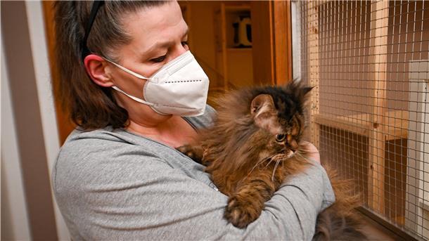 In Bremerhaven öffnet ein Katzenhotel Am 10. März öffnet das Katzenhotel von Tierärztin Tatjana Rusch und Ute Kellmer (Foto).