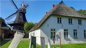Weißes Gebäude und Mühle im Hintergrund. Am 20. Juli dreht sich am Museum Moorseer Mühle alles um Schafe, Bienen und Handwerk. Besucher erwartet ein buntes Programm mit Markt, Schafschur und Aktionen. 