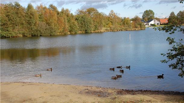 Am Sieverner See ist es zu einer Vergewaltigung gekommen.