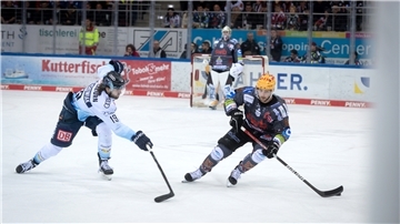 Am Sonntag treffen der ERC Ingolstadt und die Fischtown Pinguins in der Eisarena aufeinander.