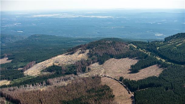 Am westlichen Harzrand soll nach den Rohstoffen gesucht werden (Archivbild).