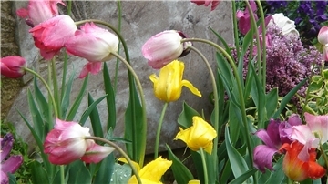 An den Totengedenktagen bringen Angehörige häufig Blumensträuße zum Friedhof.