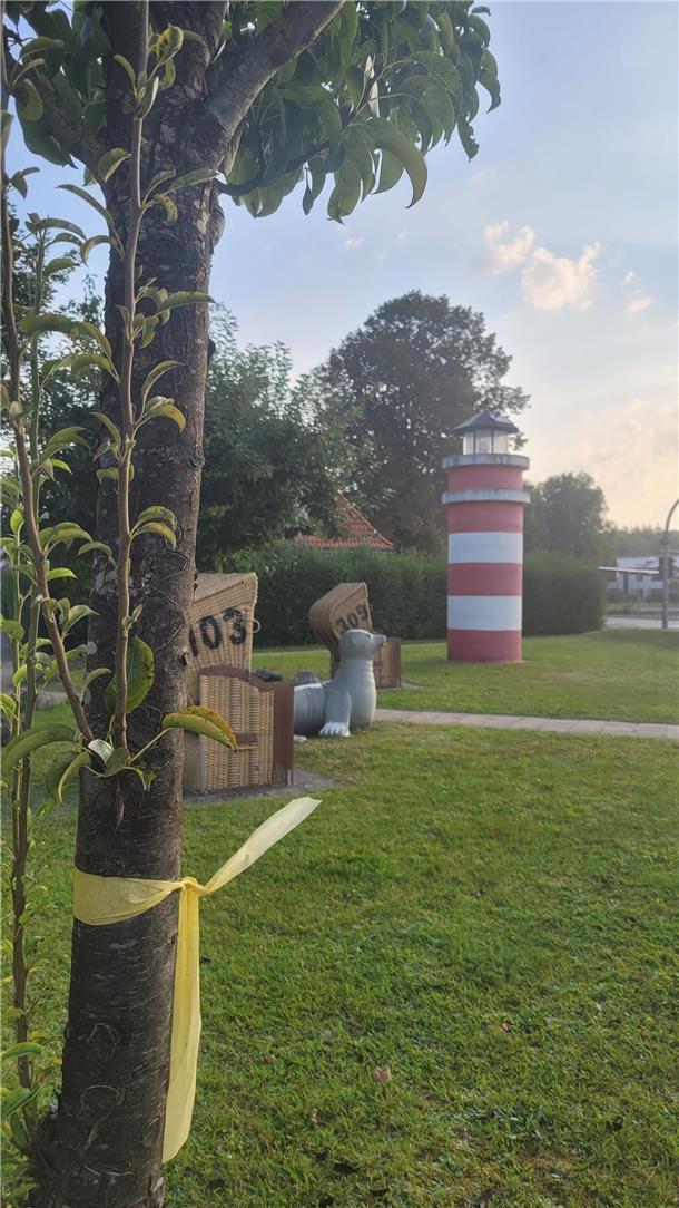 An der alten B6 in Nordholz, gegenüber vom Marinefliegerstützpunkt, gibt es eine kleine Leuchtturmwiese. Eine Schleife am Baum signalisert, dass hier kostenlos Obst gepflückt werden darf.