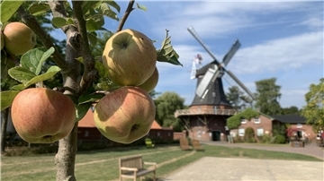 An der Seefelder Mühle geht es am Sonntag rund.