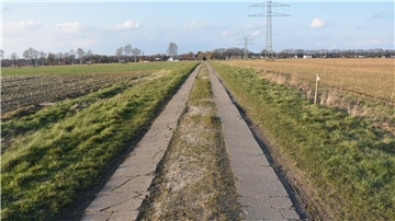 Am Fuhrenkamp in Sittensen wurden im Februar um die 30 Obstbäume gefällt. So sieht es jetzt da aus. 