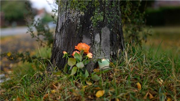 An einem Baum in der Nähe des Tatorts wurden Blumen abgelegt. 