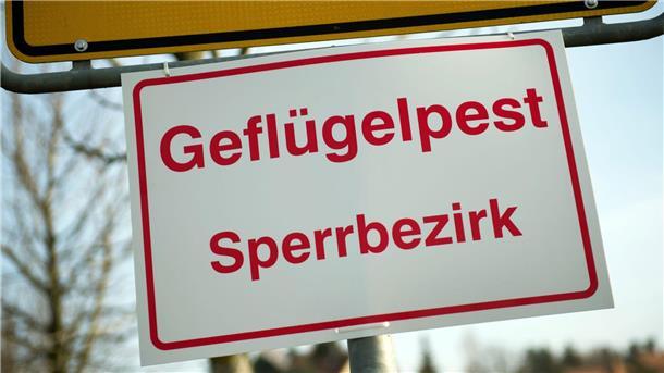 An einem Ortseingangsschild hängt ein Schild mit der Aufschrift „Geflügelpest Sperrbezirk“.