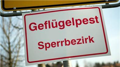 An einem Ortseingangsschild hängt ein Schild mit der Aufschrift „Geflügelpest Sperrbezirk“.