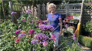 Anne Allmers hat in ihrem Garten bereits einige Pflanzen entdeckt, die der Hitze trotzen, unter anderem Zinnien und patagonisches Eisenkraut.