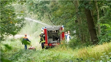 Anspruchsvoller Übungseinsatz im Wald.