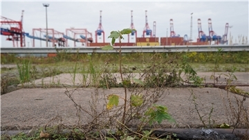 Klappbrücke in Bremerhaven