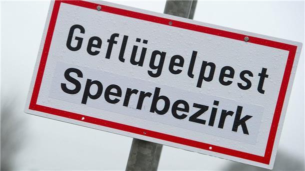 ARCHIV - Ein Schild mit der Aufschrift «Geflügelpest Sperrbezirk». Foto: Stefan Sauer/dpa-Zentralbild/dpa/Symbolbild