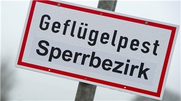 ARCHIV - Ein Schild mit der Aufschrift «Geflügelpest Sperrbezirk». Foto: Stefan Sauer/dpa-Zentralbild/dpa/Symbolbild
